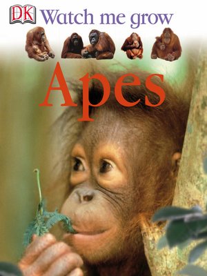 cover image of Apes